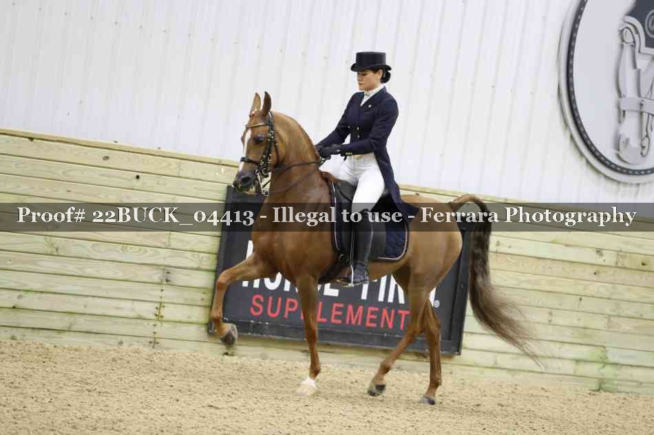 Proof 22BUCK_04413