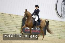 22BUCK_04413 proof