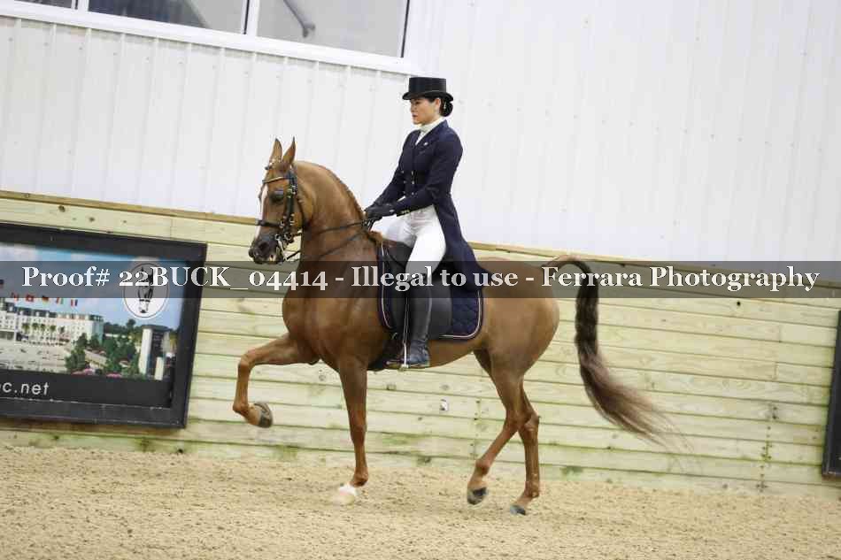 Proof 22BUCK_04414