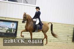 22BUCK_04414 proof