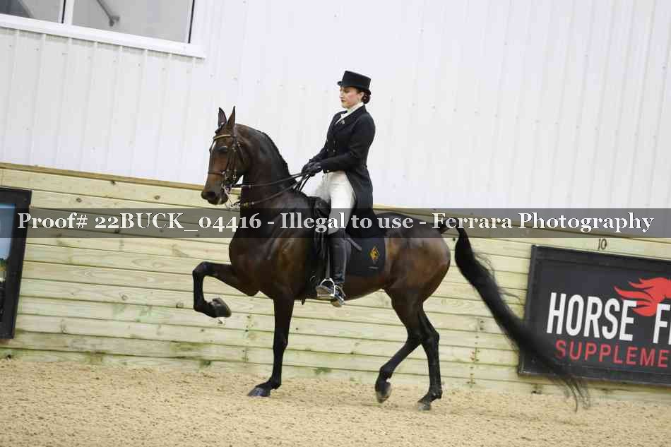 Proof 22BUCK_04416