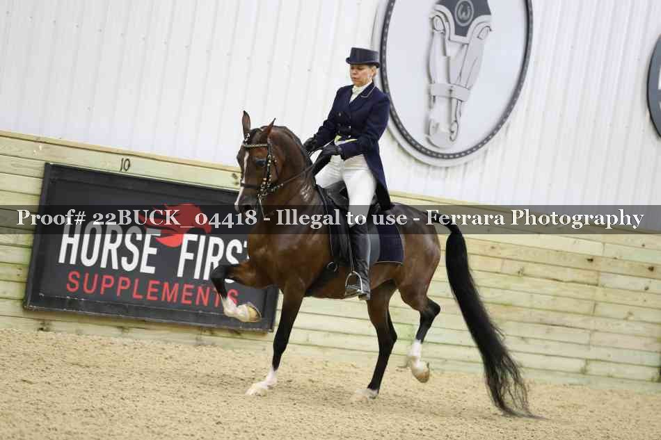 Proof 22BUCK_04418
