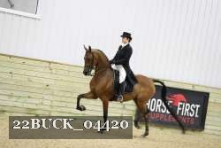 22BUCK_04420 proof