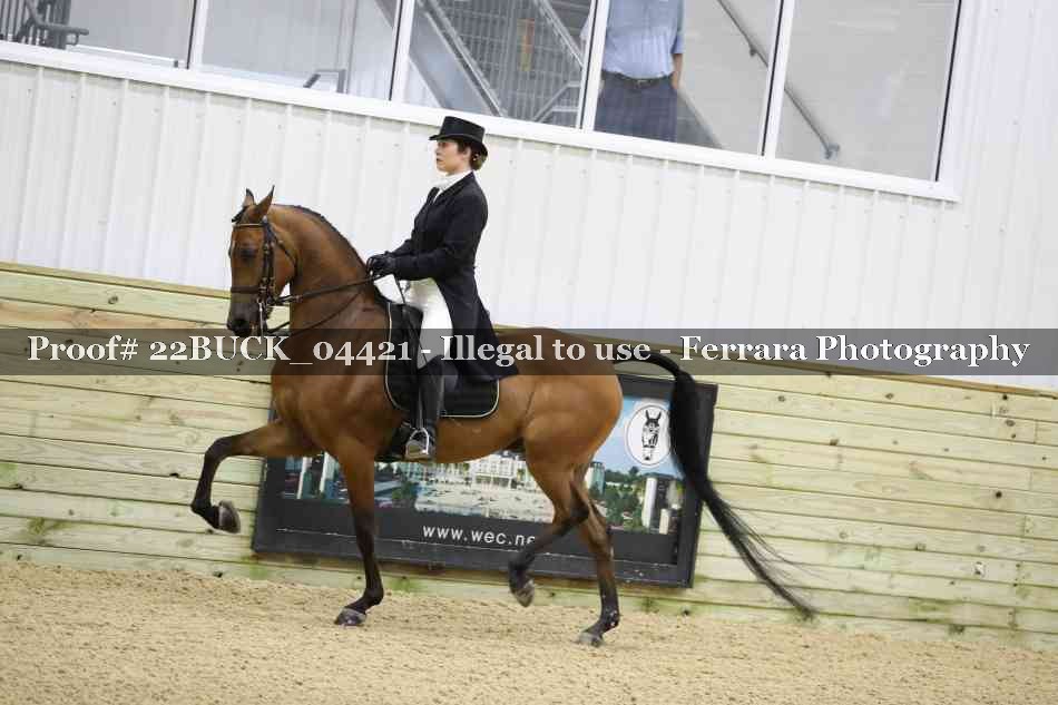 Proof 22BUCK_04421