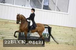 22BUCK_04421 proof
