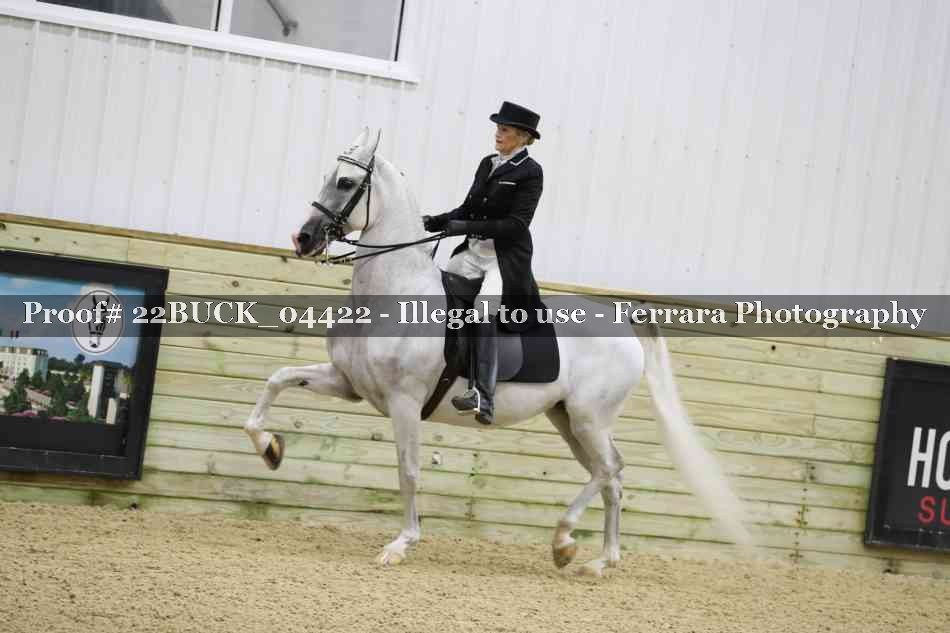 Proof 22BUCK_04422