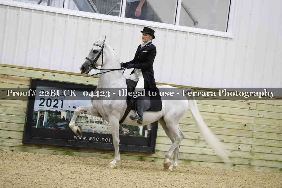 Proof 22BUCK_04423