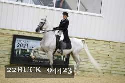 22BUCK_04423 proof