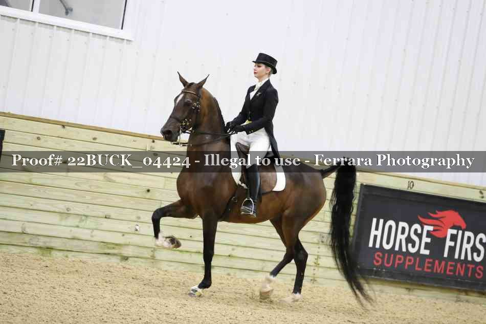 Proof 22BUCK_04424
