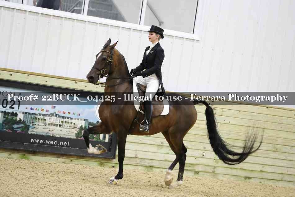 Proof 22BUCK_04425