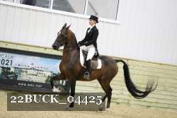 22BUCK_04425 proof