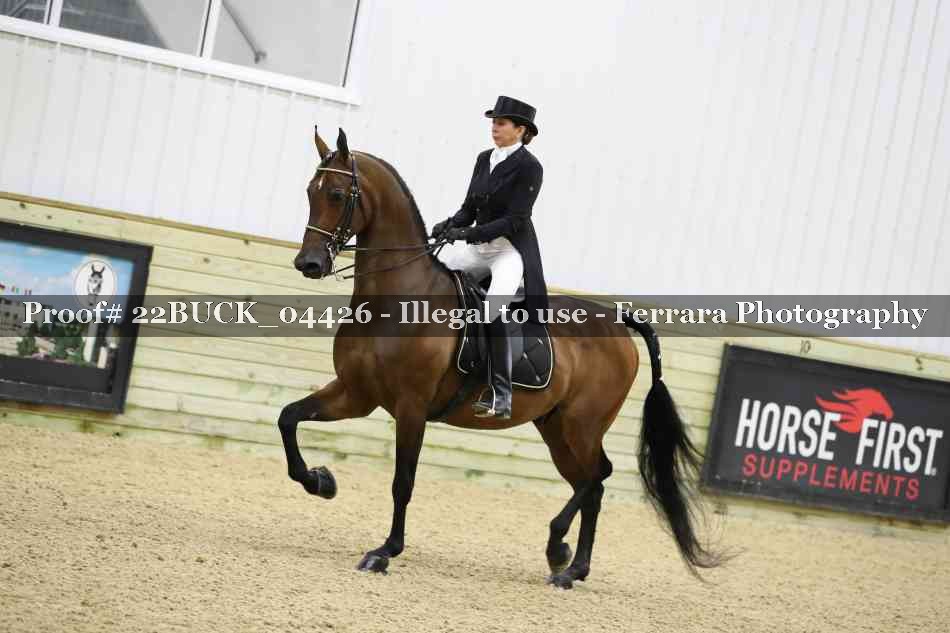 Proof 22BUCK_04426