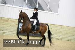 22BUCK_04427 proof