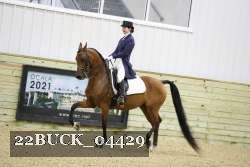 22BUCK_04429 proof
