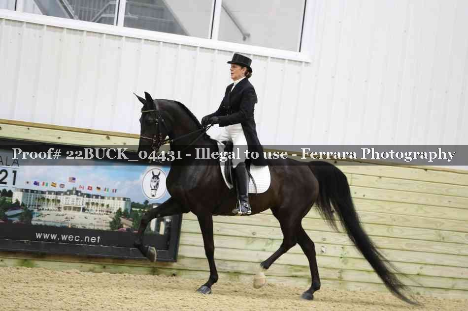 Proof 22BUCK_04431