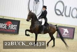 22BUCK_04432 proof