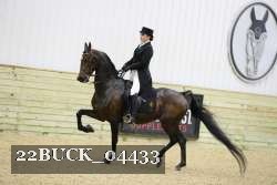 22BUCK_04433 proof
