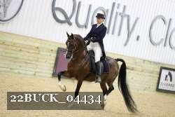 22BUCK_04434 proof