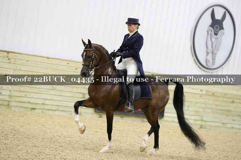 Proof 22BUCK_04435