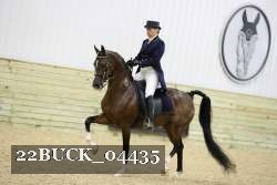 22BUCK_04435 proof