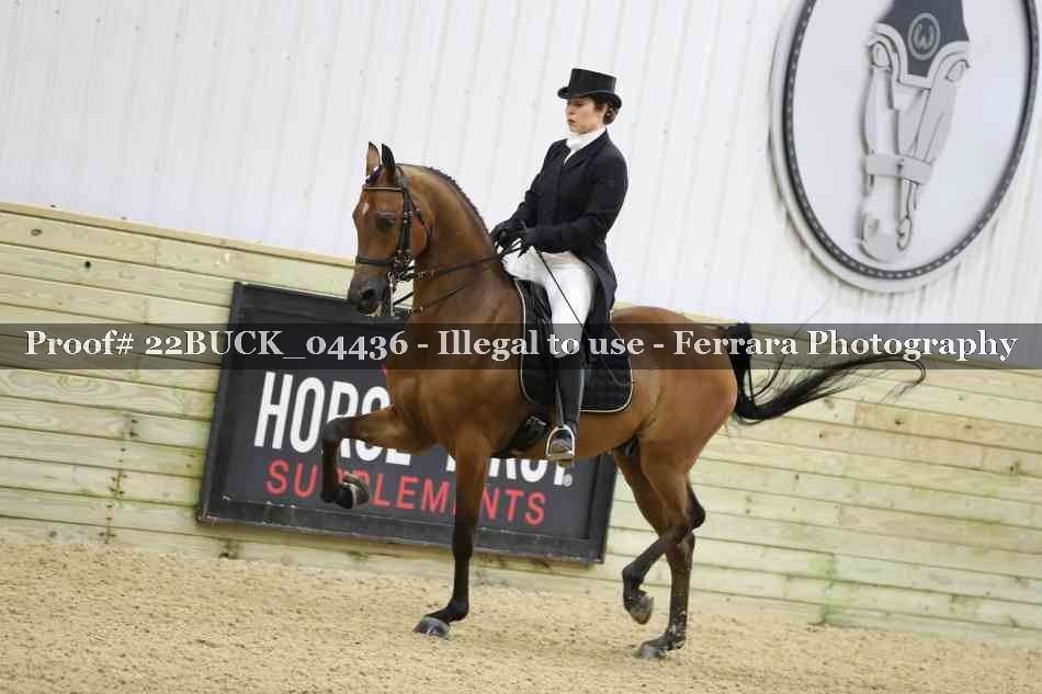 Proof 22BUCK_04436