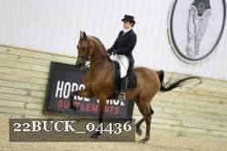 22BUCK_04436 proof