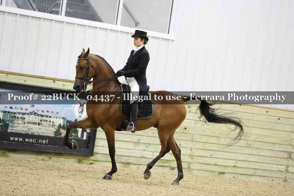 Proof 22BUCK_04437