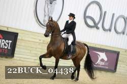 22BUCK_04438 proof