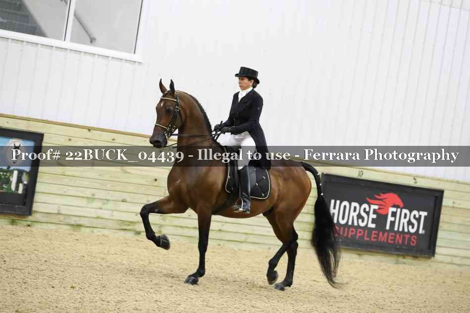 Proof 22BUCK_04439