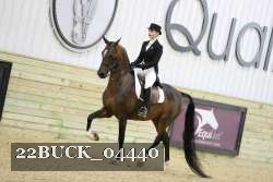 22BUCK_04440 proof