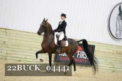 22BUCK_04441 proof