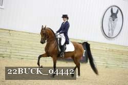 22BUCK_04442 proof