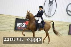 22BUCK_04446 proof