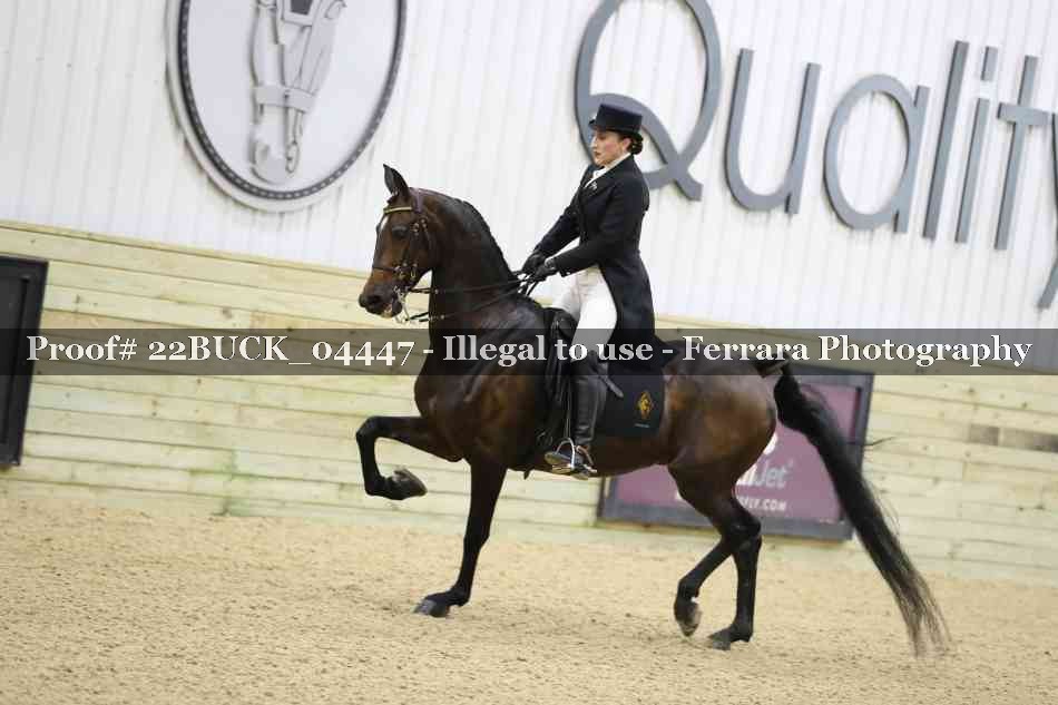Proof 22BUCK_04447