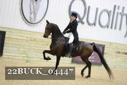 22BUCK_04447 proof