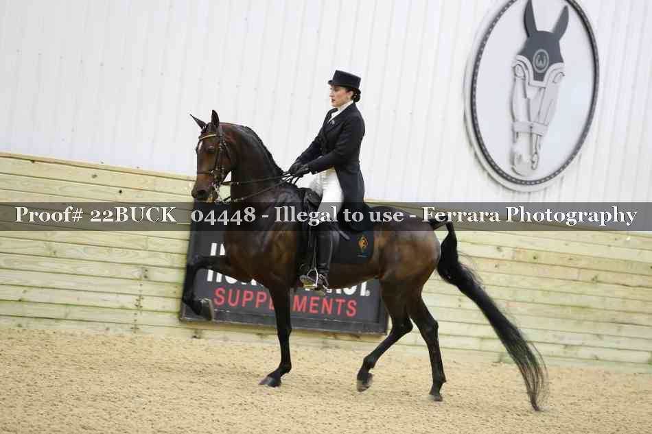 Proof 22BUCK_04448