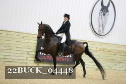 22BUCK_04448 proof