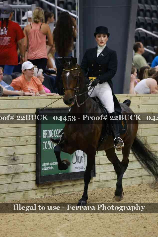Proof 22BUCK_04453