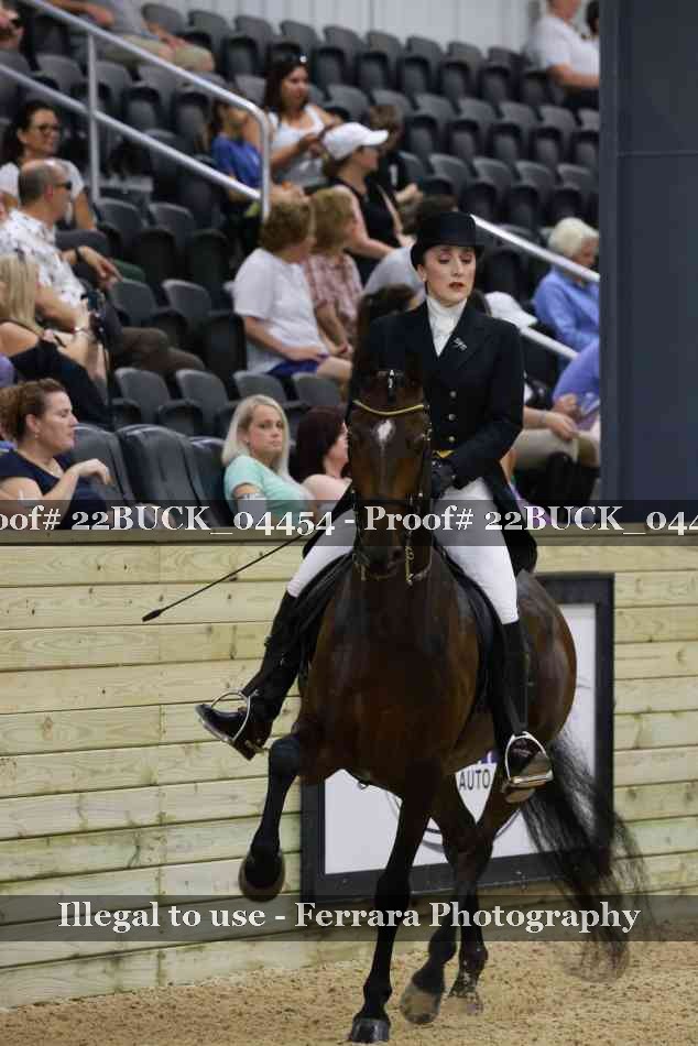 Proof 22BUCK_04454