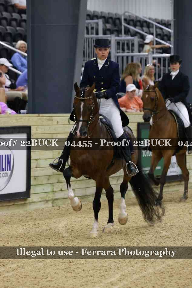 Proof 22BUCK_04455
