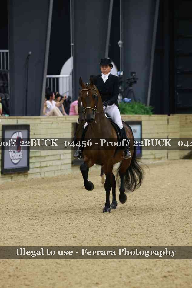 Proof 22BUCK_04456