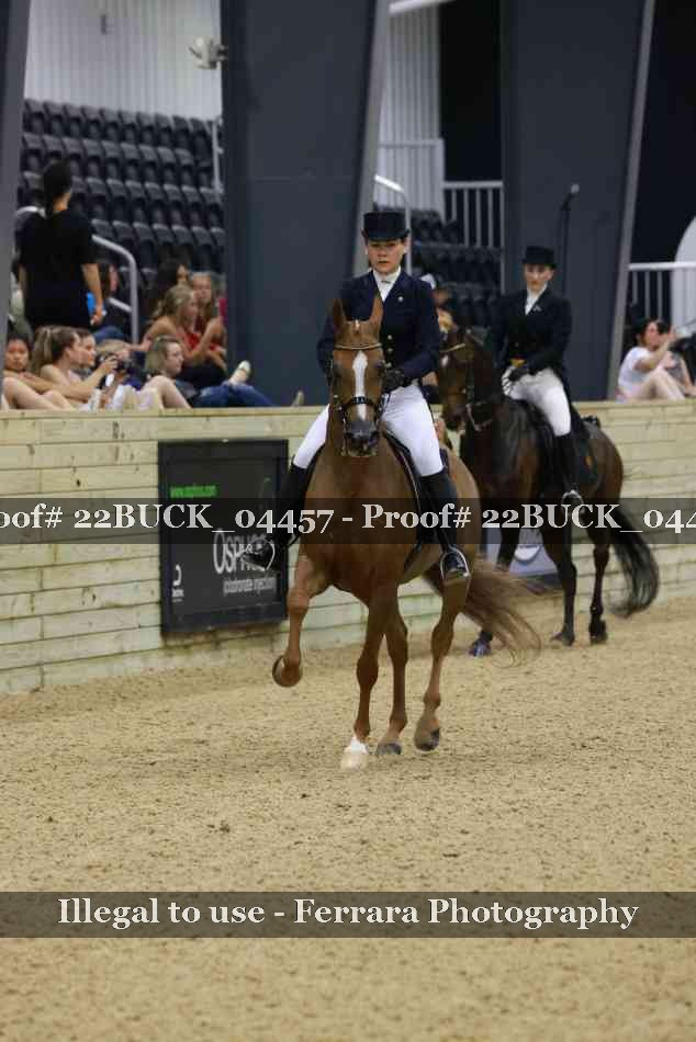 Proof 22BUCK_04457