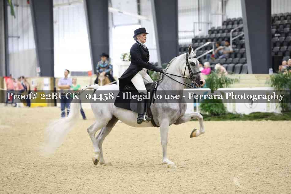 Proof 22BUCK_04458