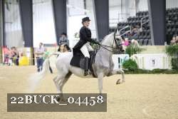 22BUCK_04458 proof