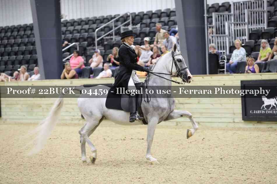 Proof 22BUCK_04459