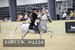 22BUCK_04459 proof