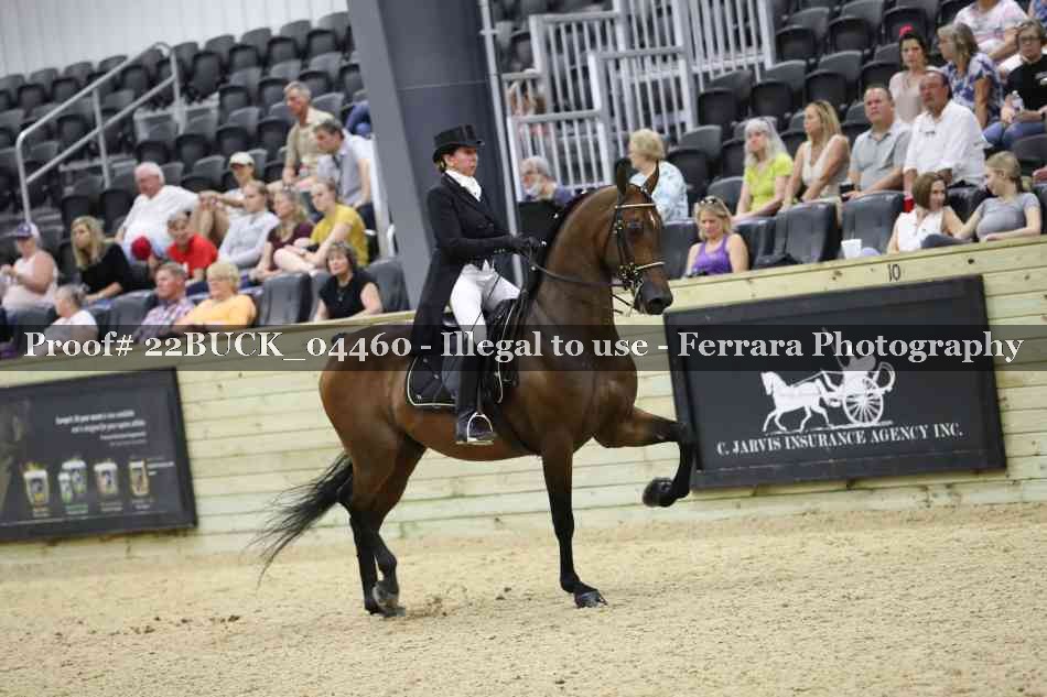 Proof 22BUCK_04460