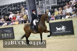 22BUCK_04460 proof