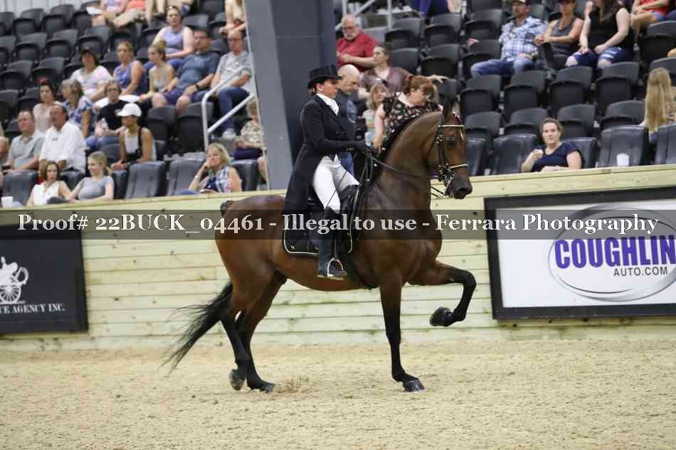Proof 22BUCK_04461
