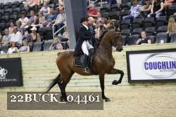 22BUCK_04461 proof